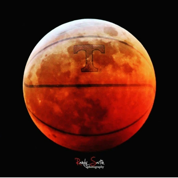 Meet your Posher, Randi lee - Picture 2 of 2